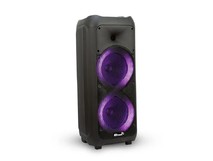 ELTRONIC (2058) DANCE BOX 500 колонка 08