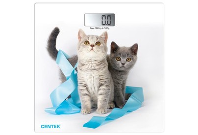 CENTEK CT2426 KITTEN