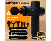 KARINGBEE KBM200