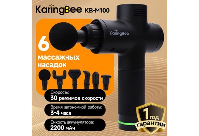 KARINGBEE KBM200