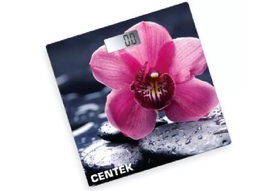 CENTEK CT2421 Цветы