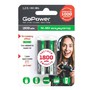 GOPOWER (0000015317) R6 AA BL2 NIMH 1800MAH