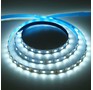 ECOLA S2LD14ESB LED strip STD 14.4W/m 12V IP20 10mm 60Led/m 6000K 5м