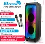 ELTRONIC (2061) FIRE BOX 1000  колонка 10