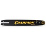 CHAMPION 14