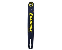 CHAMPION 15