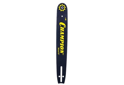 CHAMPION 15