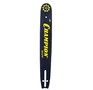 CHAMPION 15