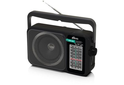 RITMIX RPR303