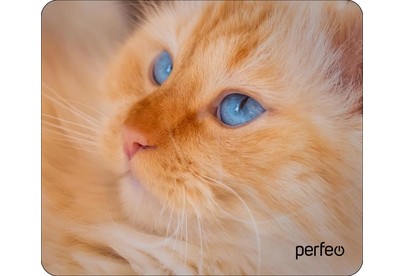 PERFEO (PF_D0667) 
