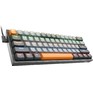 REDRAGON (72600) Fizz RU,Rainbow,meltgold свитчи