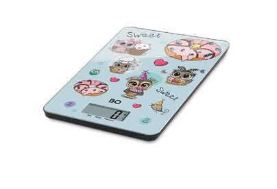 BQ KS1001 Owls