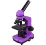 LEVENHUK RAINBOW 2L AMETHYST/Аметист