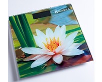 ВАСИЛИСА ВА4011 ВАСИЛИСА ВА4011