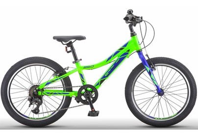 STELS Pilot250 Gent V 20