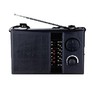 ЭФИР 12 FM 64108МГц, бат. 2*R20, 220V