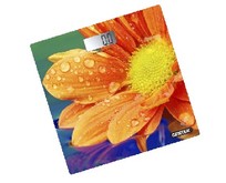 CENTEK CT2420 Гербера CENTEK CT2420 Гербера
