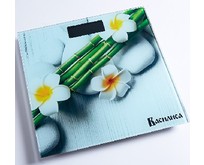 ВАСИЛИСА ВА4012 ВАСИЛИСА ВА4012