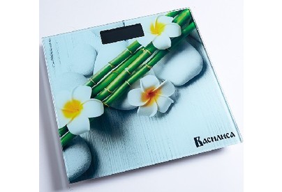 ВАСИЛИСА ВА4012 