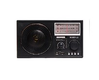 ЭФИР 13 УКВ 64108МГц, бат. 4*R20, 220V, USB/SD/microSD/AUX