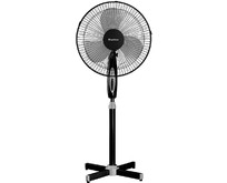 BLACKTON Bt F1120 Black BLACKTON Bt F1120 Black