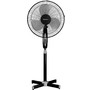 BLACKTON Bt F1120 Black
