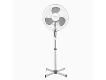 BLACKTON Bt F1115 White