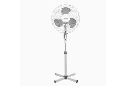 BLACKTON Bt F1115 White