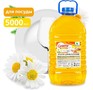 CLEAN&GREEN CG8169 Greeny Light Ромашка 5л