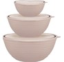 SUGAR&SPICE SE400912005 Cardamom (3 предмета) с крышками латте