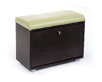 БИТЕЛ МС1 Венге/Салат С105 (2 кор) БИТЕЛ МС1 Венге/Салат С105 (2 кор)