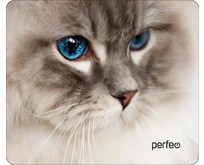 PERFEO (PF_D0657) 