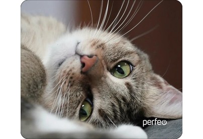 PERFEO (PF_D0660) 