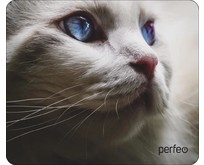 PERFEO (PF_D0669) 