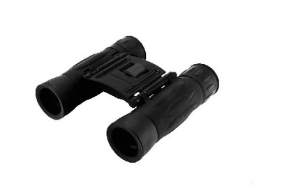 LEVENHUK ATOM 10X25