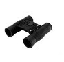 LEVENHUK ATOM 10X25