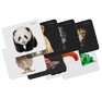 DEFENDER (50803) WILD ANIMAL  8 видов ассортимент