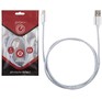 ENERGY Кабель ET01 USB/TypeC, цвет  серебро (006372)