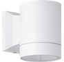 SMARTBUY ( SBLWLW11GX53) настенный GX53*1 White/IP65