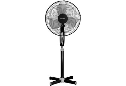 BLACKTON Bt F1120 Black