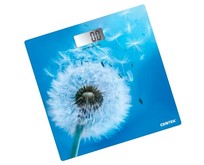 CENTEK CT2421 Цветы