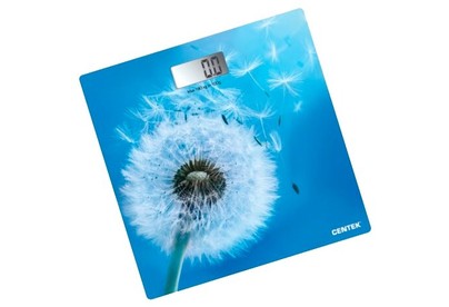 CENTEK CT2421 Цветы