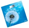CENTEK CT2421 Цветы