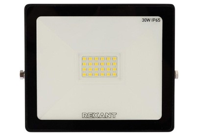 REXANT (605003) 30 Вт 200260В IP65 2400 лм 6500 K холодный свет