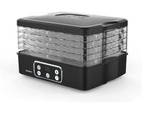 BLACKTON Bt FD1112 Black BLACKTON Bt FD1112 Black