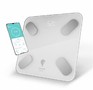 LEONORD LE1275 Bluetooth (стеклянная поверхность, 180 кг) (109931)