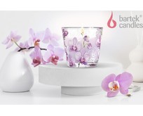 BARTEK Орхидея Фаленопсис (Orchid Phalaenopsis) 115гр в стакане