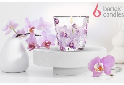BARTEK Орхидея Фаленопсис (Orchid Phalaenopsis) 115гр в стакане