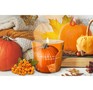 BARTEK Сезон тыквы (Pumpkin Season) 115гр в стакане