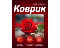 PERFEO (PF_E1776) ЦВЕТЫ